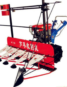 蘆葦收割機 蘆葦收割機