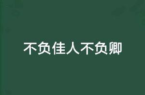 不負佳人不負卿