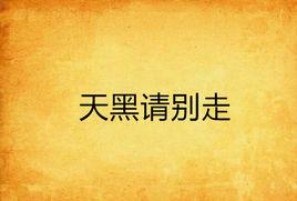 天黑請別走 天黑請別走