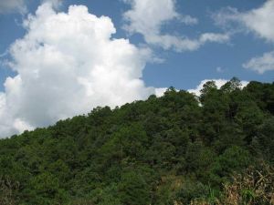 杏子山村 杏子山村