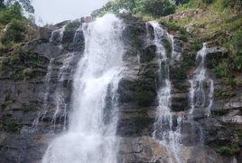 藍洋溫泉國家森林公園 藍洋溫泉國家森林公園