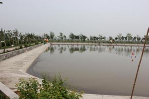 北水垂釣園 北水垂釣園