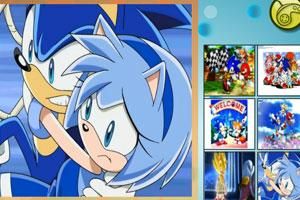 記憶索尼克 記憶索尼克