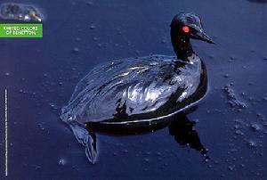 世界品牌服飾貝納通