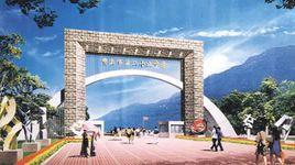 重慶市第二十九中學 重慶市第二十九中學