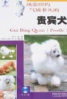 風姿綽約氣質非凡的貴賓犬 風姿綽約氣質非凡的貴賓犬