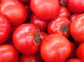 川科5號 川科5號