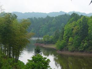 (圖)重慶市綦江縣東溪鎮