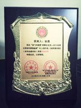 夜郎金鑫-城市黃玫瑰