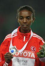 埃文·阿貝萊格塞