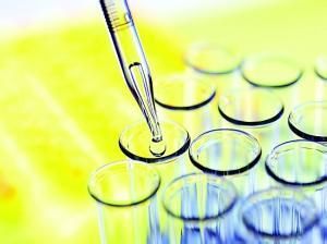 尿蛋白一個加號