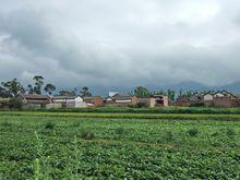 梨園村[雲南魯甸縣小寨鄉下轄村]