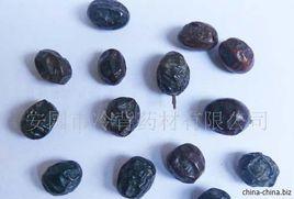 苦石蓮子 苦石蓮子