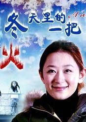 冬天裡的一把火[2006年金琛執導的電影]