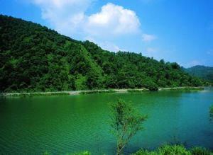 東塢水庫 東塢水庫