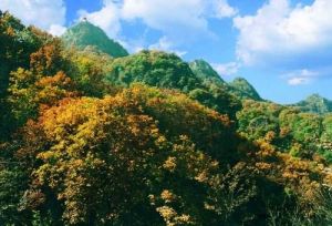 八仙山國家級自然保護區