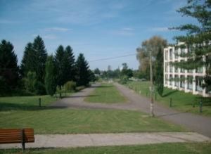 兵庫教育大學 兵庫教育大學