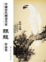 孫龍[北京鑑藏書畫院執行院長]
