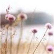 勵志人生心語 勵志人生心語