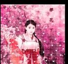 璇彩夢蝶 璇彩夢蝶