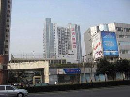 正成財富ID 正成財富ID