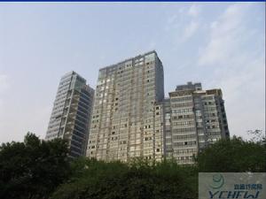 宜昌商業步行街紫晶城 宜昌商業步行街紫晶城