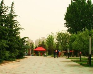 太陽宮體育休閒公園 太陽宮體育休閒公園