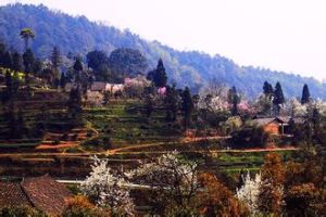 老峨山村 老峨山村