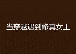 當穿越遇到修真女主 當穿越遇到修真女主