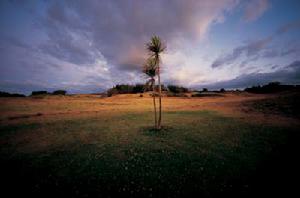 阿希帕拉海灘 阿希帕拉海灘