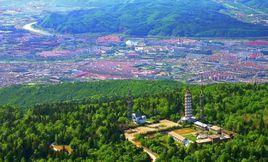 綠色寶庫 綠色寶庫