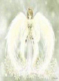 新夫妻上路 新夫妻上路