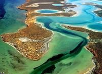 西澳大利亞鯊魚島