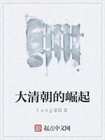 大清朝的崛起 大清朝的崛起