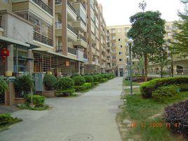 雙吉街道 雙吉街道