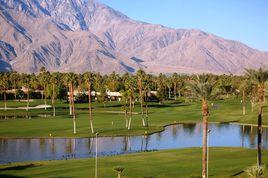 美國棕櫚泉 美國棕櫚泉