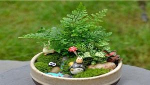 我所遇見的生活DIY 我所遇見的生活DIY