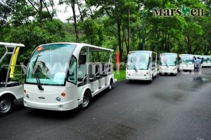 瑪西爾電動旅遊車