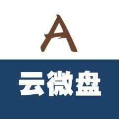 雲微盤A 雲微盤A