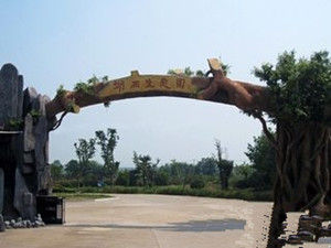 湖西生態園 湖西生態園