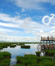 若爾蓋草原 若爾蓋草原