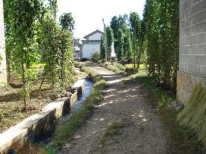 黑彎子自然村 黑彎子自然村