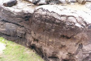 朱魯賽疊層石 朱魯賽疊層石