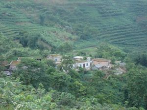 雞窩上新寨村 雞窩上新寨村