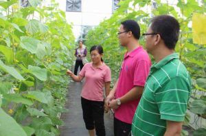 廣西農科院蔬菜研究中心 廣西農科院蔬菜研究中心