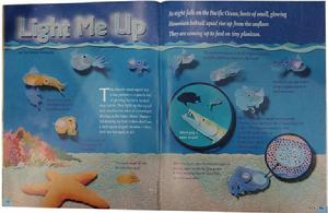 《ask》蟋蟀童書系列