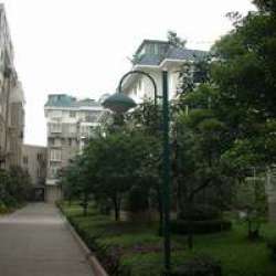 金強會所花園 金強會所花園