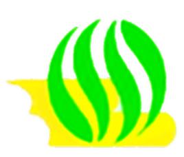 汾陽市第四高級中學 汾陽市第四高級中學