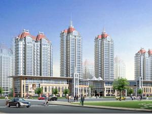 新田之星 新田之星