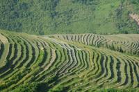 梯田